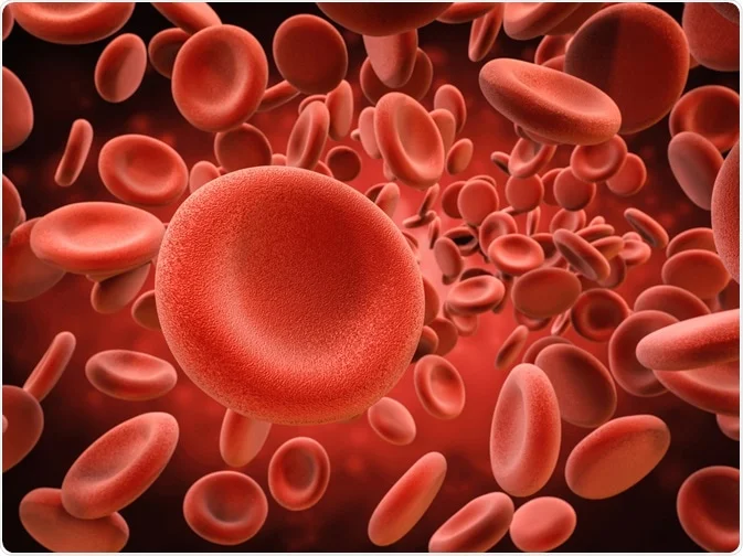 red blood cells