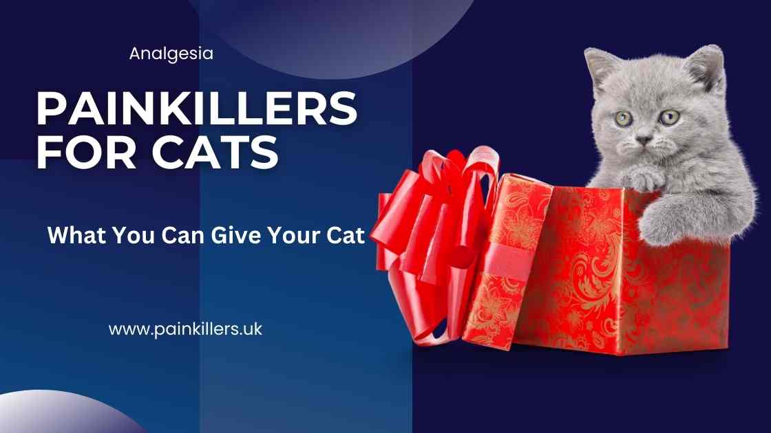 Painkillers for Cats